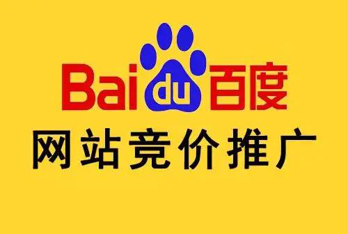蜘蛛池与Google爬虫配合度解析